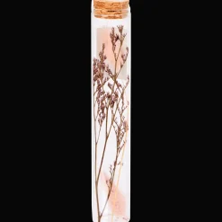 Action Tube avec fleurs séchées* Accessoires Pour La Maison