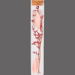 Action Tube avec fleurs séchées* Accessoires Pour La Maison