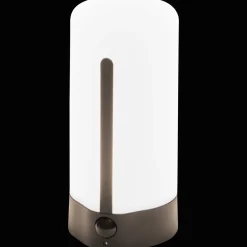 Action Veilleuse LED rechargeable* Lampes